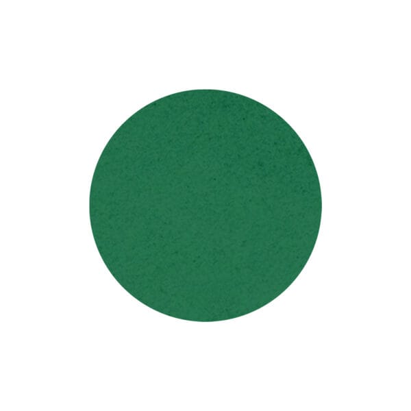 Antislip Tape Standaard Groen 50 mm rondje