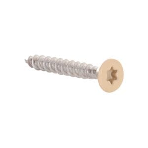 Stainless Steel Screws Beige