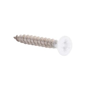 Stainless Steel Screws White